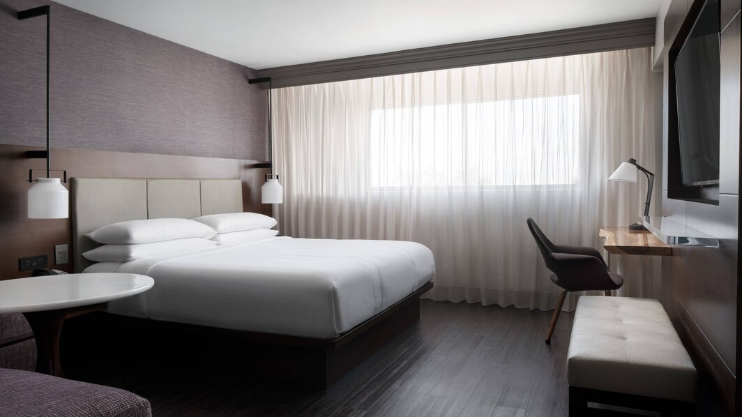 Guest room, 1 King, Sofa bed